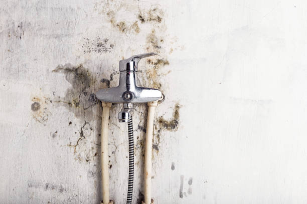 Best Emergency Mold Removal  in Akron, PA