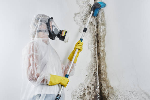 Best Crawl Space Mold Removal  in Akron, PA