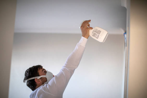 Best Mold Testing  in Akron, PA