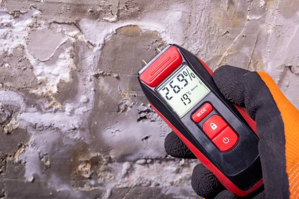 Best Attic Mold Removal  in Akron, PA