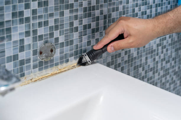 Reliable Akron, PA Mold Removal Solutions