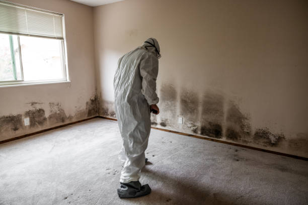 Best Crawl Space Mold Removal  in Akron, PA